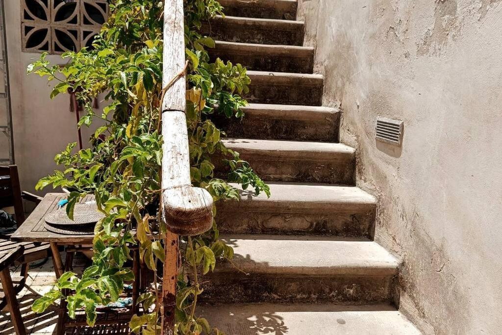 Big Big Terrace Kerem Cosy Studio Tel Aviv Exterior photo